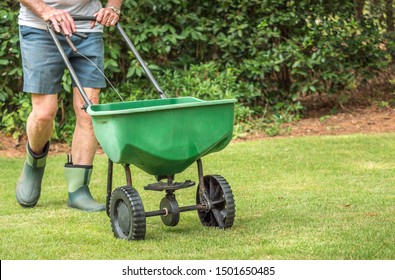 Man seeding and fertilizing residential backyard lawn with manual grass seed spreader. - Shutterstock ID 1501650485