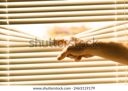 Similar – covert Venetian blinds