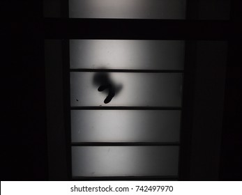 man shadow