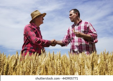 Man shake with farmer and congrats farmer for good wheat.