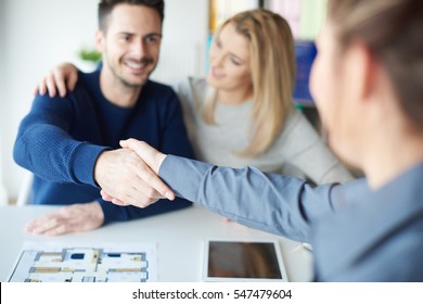Man shaking hands with real estate agent