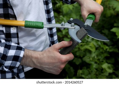 Man sharpening pruner outdoors, closeup. Gardening tools - Powered by Shutterstock