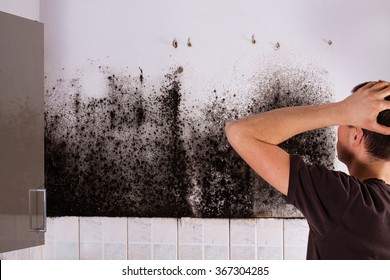 Man Shocked To Mold A Kitchen Cabinet.