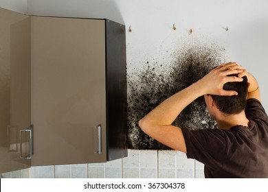 Man Shocked To Mold A Kitchen Cabinet.