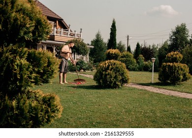 A man in shorts is raking yellow leaves. Garden care. Hot summer day. A man is engaged in order on a site outside the city.