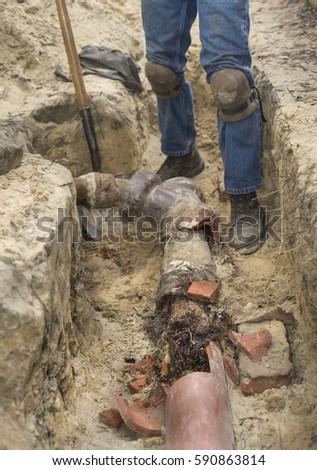 Man with shovel in trench showing old broken terracotta ceramic sewer line completely filled with invasive tree roots.