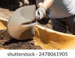 a man shoveling dirt into a wheelbarrow at an archaeological dig