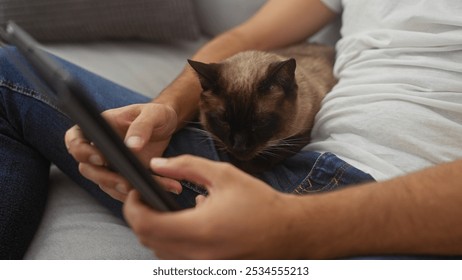 Man and siamese cat lounging on a sofa indoors while using a tablet, depicting a cozy home setting. - Powered by Shutterstock