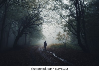 Man Silhouette At The Edge Of A Dark Forest