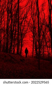 man silhouette in scary forest, halloween horror landscape