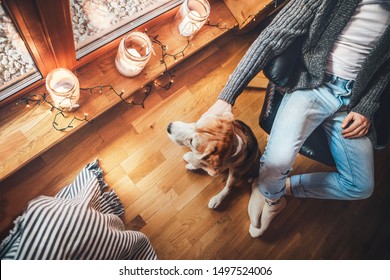 Man Sitting In Chair Near Big Window In Cozy Country Home And Stroking His Beagle Dog Watching In Wide Window. Countryside Vacation With Pets Concept Image.