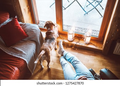 Man Sitting In Comfortable Chair Opposite Big Window In Cozy Country Home And His Beagle Dog Watching In Wide Window. Countryside Vacation With Pets Concept Image.