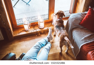 Man Sitting In Comfortable Chair Opposite Big Window In Cozy Country Home And His Beagle Dog Watching In Wide Window. Countryside Vacation With Pets Concept Image.