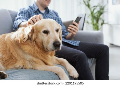 Man sitting on the couch at home, he is chatting with his smartphone and cuddling his dog - Powered by Shutterstock