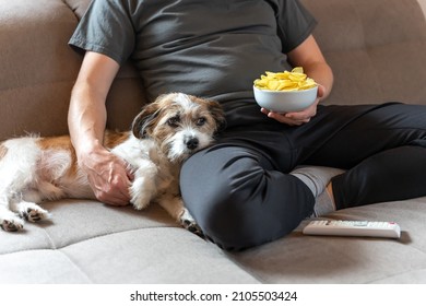 A Man Is Sitting On A Couch With A Small Dog And Potato Chips In A Bowl. Sweatpants And T-shirt. Section. 