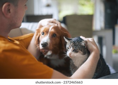 Man sitting on sofa with domestic animals. Pet owner stroking his old cat and dog together.
