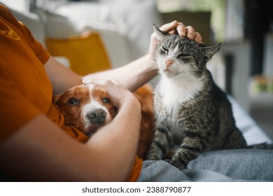 Man sitting on sofa with domestic animals. Pet owner stroking his old cat and dog together.
 - Powered by Shutterstock