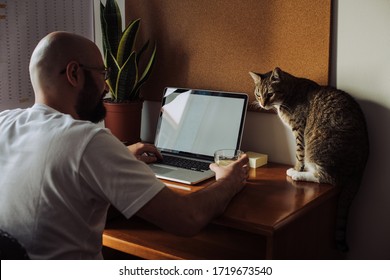 Man sitting at the table of his home office working on a laptop. With a domestic tabby cat sitting on the table in front of him. Work from home concept. White blank space on the laptop's screen