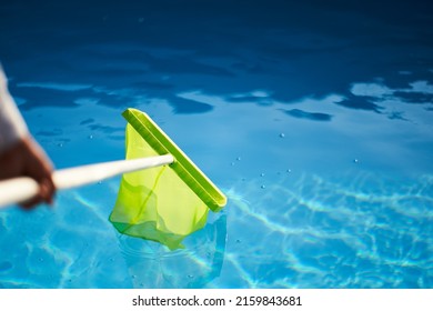 Man With Skimmer Net Equipment Cleaning Swimming Pool From Rubbish. Service And Maintenance Of The Pool. Male Removes Garbage From The Water With A Sap. Swimming Pool Cleaning Service. Hotel Cleaner.