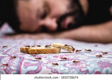 Man Sleeping With Ants Close By, Walking In A Row On The Bed. Danger Of Ant Sting, Insect Pest Indoors