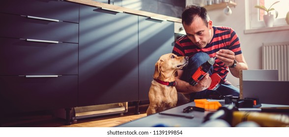 Man With Small Yellow Dog Working On A New Kitchen Installation