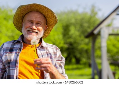 Man smiling. Beaming grey-haired retired man wearing straw hat smiling while holding dandelion - Powered by Shutterstock