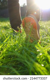 A Man In Sneakers Walks On Green Grass. Sport. Spring. Low Angle Back Shot.