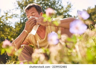 Man sneezing into handkerchief with hay fever in a blooming summer meadow - Shutterstock ID 2239552481