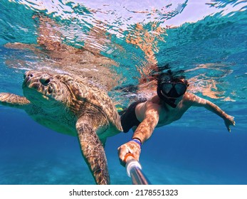 Man snorkeling with big adult green sea turtle in blue water of exotic tropics paradise in Red Sea. Marsa Alam Egypt. Summer holiday in exotic country, activity vacation concept. Marsa Alam Egypt - Shutterstock ID 2178551323