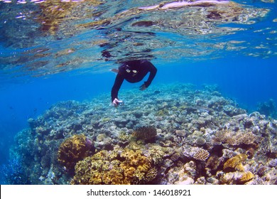 Man Snorkeling On Coral Reef