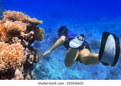 Man Snorkeling In The Red Sea, Egypt