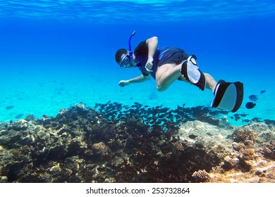 Man snorkeling in the Red Sea, Egypt