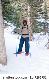 Man Snowshoeing Among Pine Trees In Winter In Rocky Mountain National Park Trail Near Estes Park Colorado