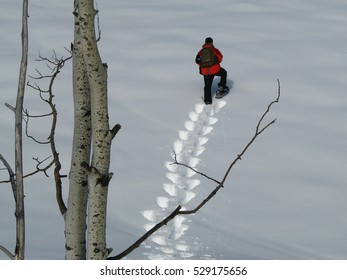 Man Snowshoeing Uphill