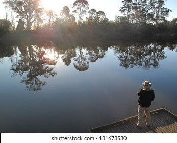 'Man from Snowy River' in the evening sun on the riverbank near Orbost Victoria