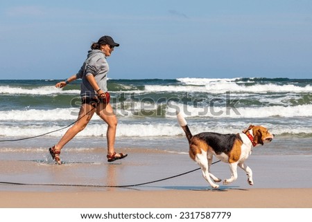
man spending time by the sea on the beach, walking and running with his dog