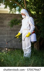 Man Spraying Insecticide On Grass In Lawn