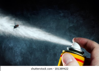 Man Spraying On A Fly A Poisonous Aerosol