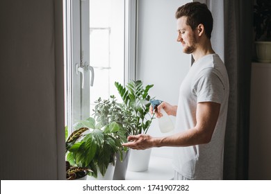 Man Spraying Water On A House Plant And Flower With A Spray Bottle At Home. Housework And Household Concept.