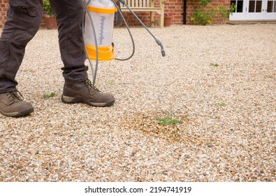 Man Spraying Weeds On A Gravel Driveway In A UK Garden. Weed Control With Glyphosate Weed Killer Spray