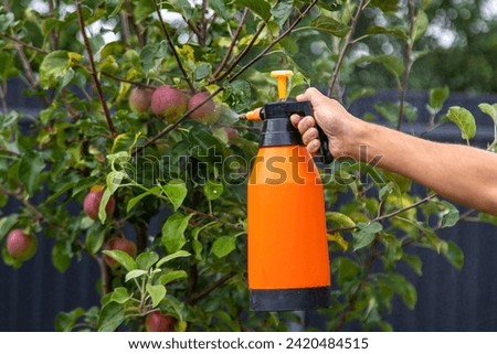 A man sprays trees in the garden. Selective focus. Nature.