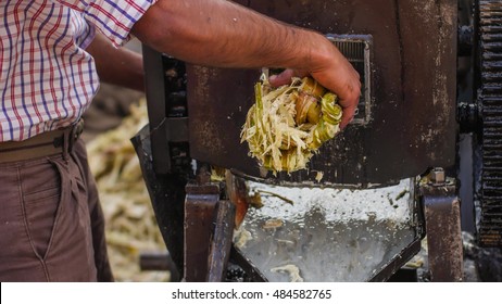 A Man Squeezed Sugar Cane  Juice In India