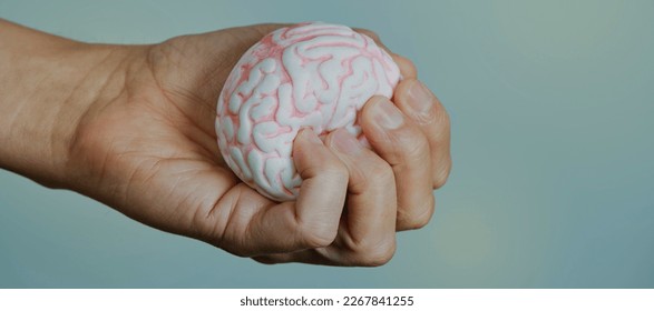 a man is squeezing a fake brain in his hand, in a panoramic format to use as web banner or header - Shutterstock ID 2267841255