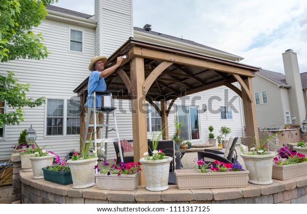 Man Staining Backyard Gazebo On Ladder Stock Photo Edit Now