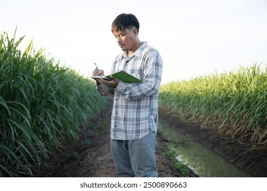 A man is standing in a field of tall grass, reading a book. The scene is peaceful and serene, with the man taking a break from his work to enjoy the beauty of nature - Powered by Shutterstock