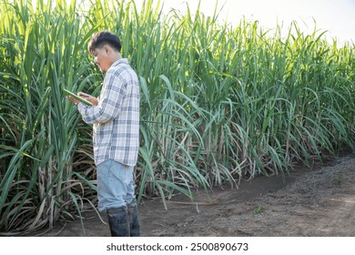 A man is standing in a field of tall grass, reading a book. The scene is peaceful and serene, with the man taking a break from his work to enjoy the beauty of nature - Powered by Shutterstock