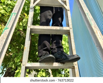 A Man Standing On A Ladder