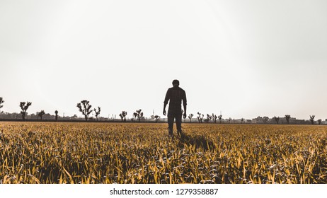 a man standing on the middle of the field  - Shutterstock ID 1279358887