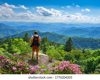 Man standing on top of the mountain relaxing and  enjoying beautiful summer mountain landscape with blooming flowers. Near Asheville, Blue Ridge Mountains, North carolina, USA.