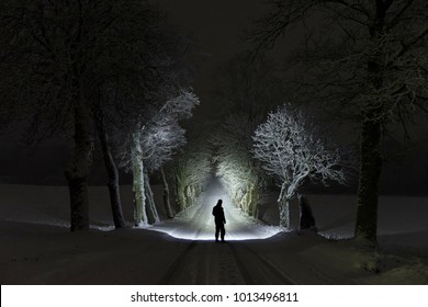 Man standing outdoors at night in tree alley shining with flashlight. Beautiful dark snowy winter night. Nice landscape and nature photo with frost and snow in trees. Calm, peaceful abstract picture.